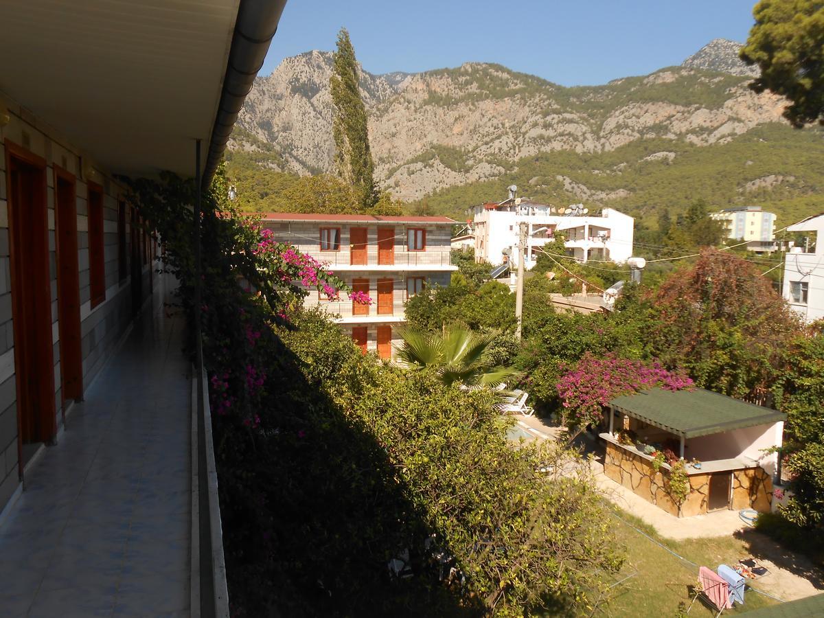 בלדיבי Ipsos Hotel מראה חיצוני תמונה