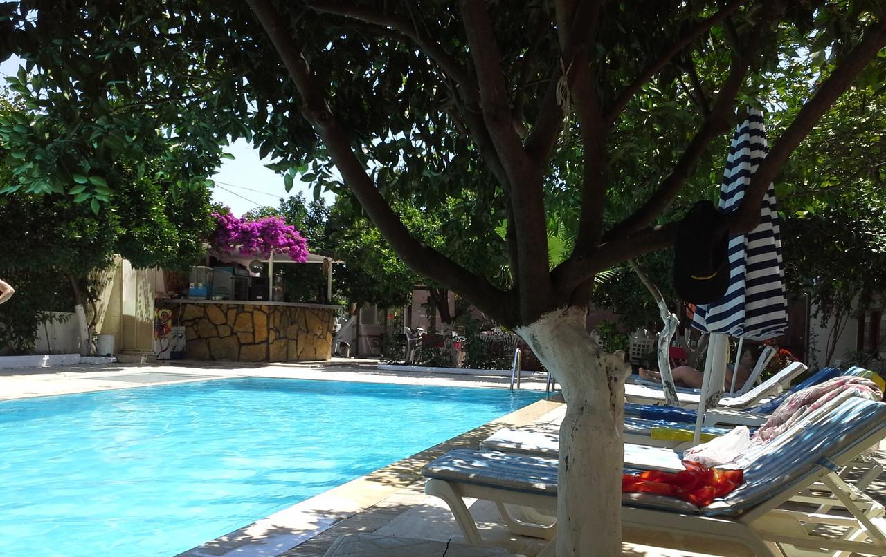 בלדיבי Ipsos Hotel מראה חיצוני תמונה
